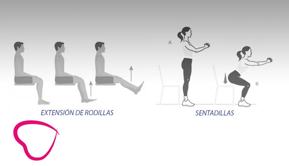 Extensión de rodillas y sentadillas ejercicio mayores