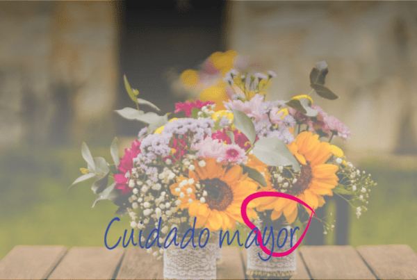 Velatorio de mayores